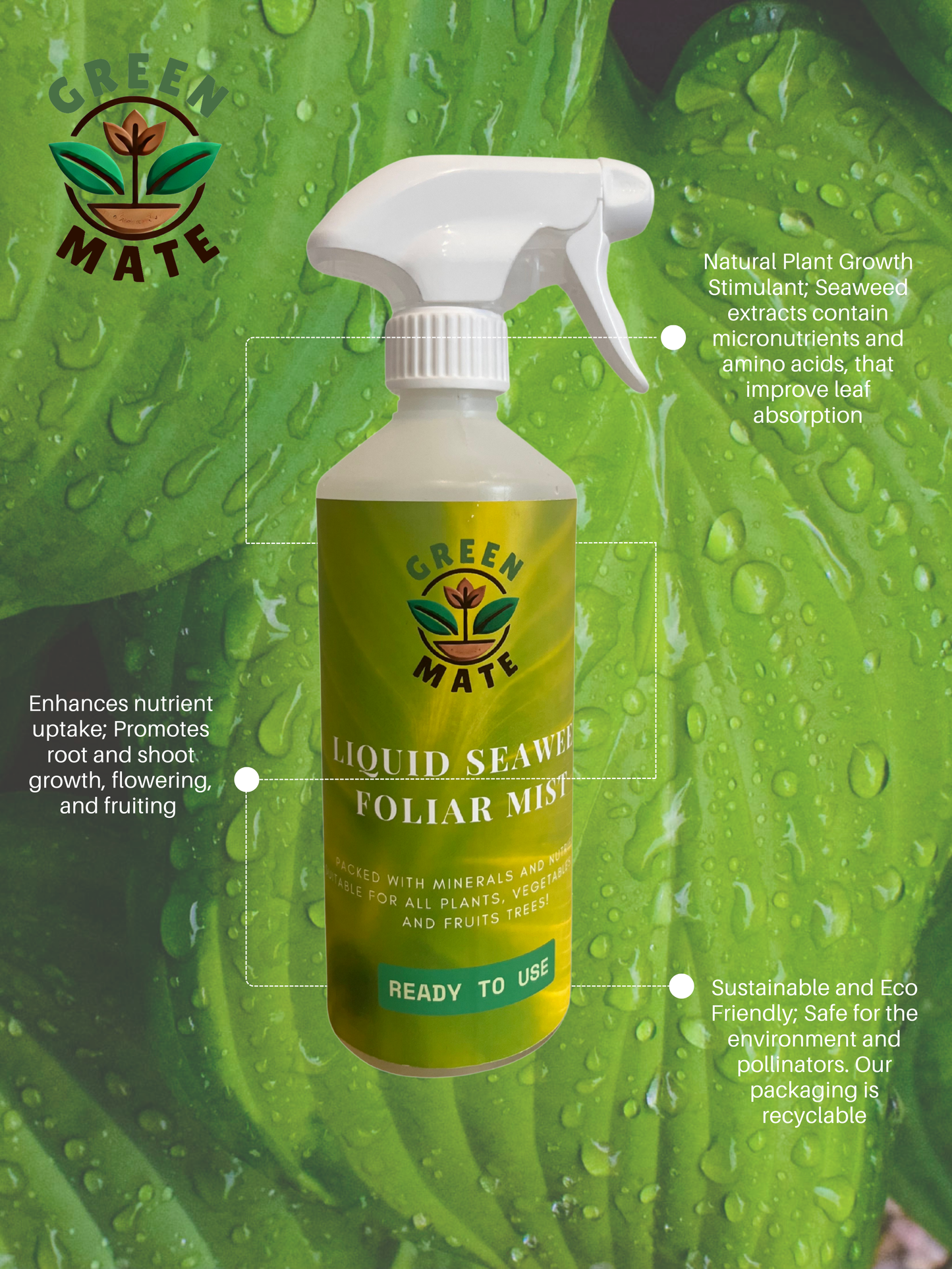 Plant Foliar Mist - Suitable for all Plants, Vegetables, Herbs 500ml
