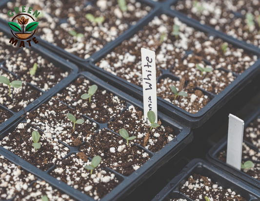 Premium Horticultural Perlite